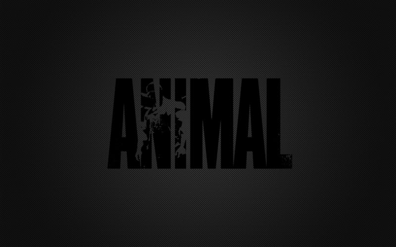 Animal Wallpaper Anabolicminds