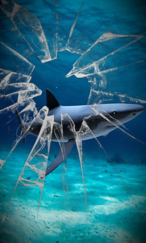 Shark Attack Live Wallpaper Android