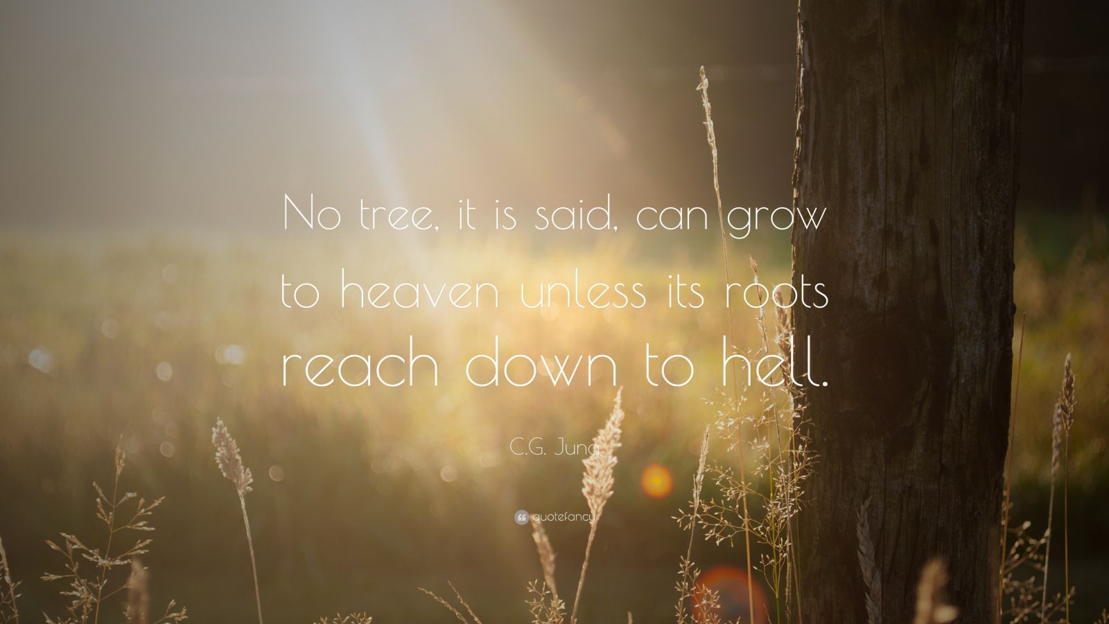 C G Jung Quote No Tree It Is Said Can Grow To Heaven Unless