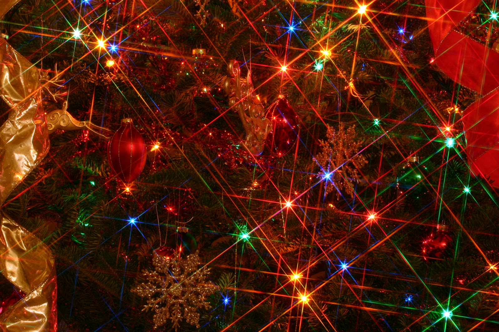 Christmas Lights Background Wallpaper Win10 Themes