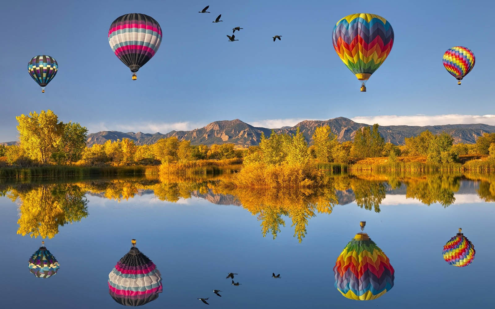 Tag Hot Air Balloons Wallpapers BackgroundsPhotos Images and 1600x1000
