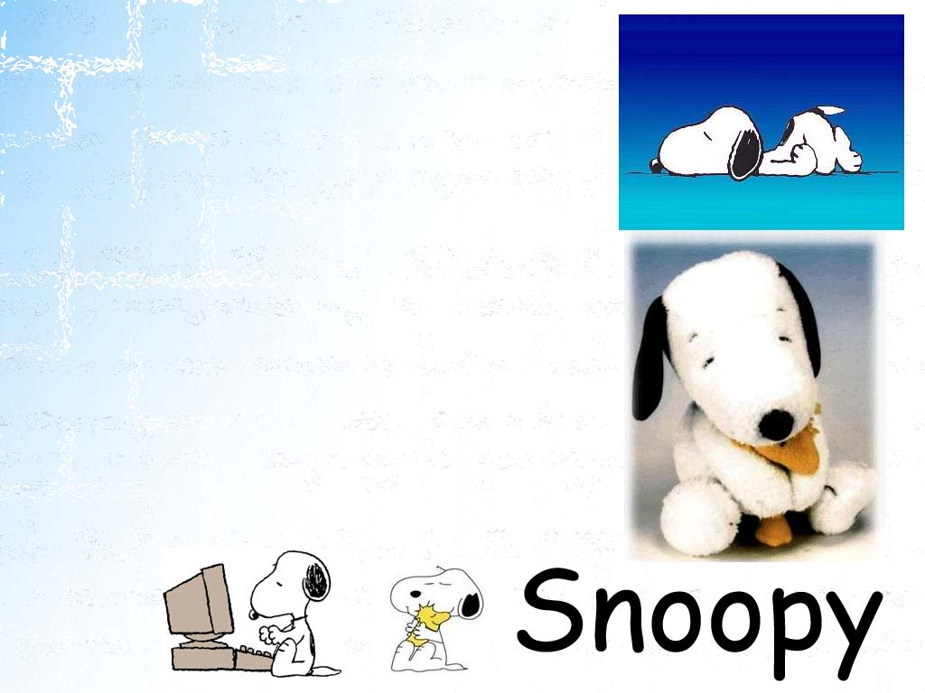 Snoopy Wallpaper Desktop Background