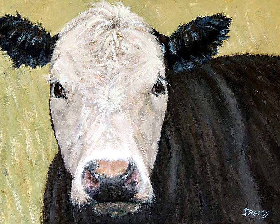 Black Angus Cow Steer White Face Painting By Dottie Dracos Fine