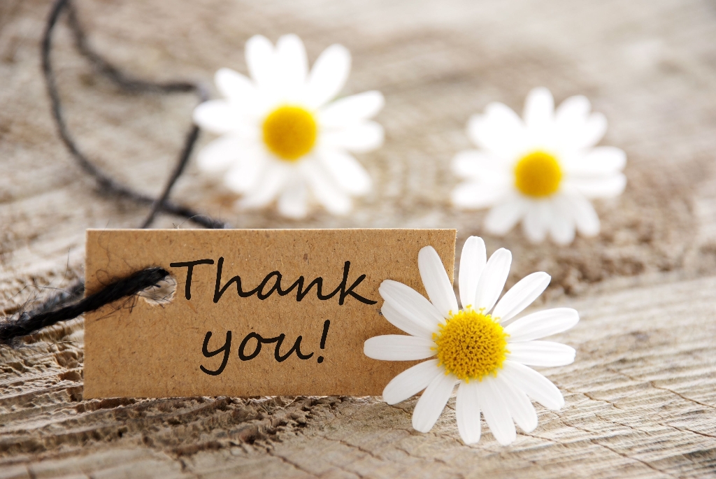 Image Thank You Cute Flowers Wallpaper High