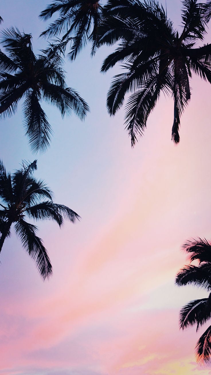 21 Pretty Wallpapers For Your New iPhone Xs Max Preppy 736x1308