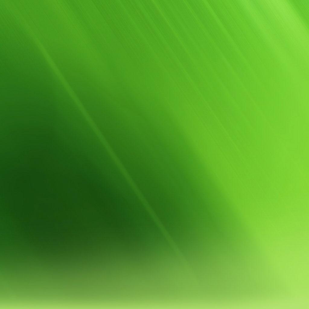 Simple Cool Green Wallpaper Art iPad HD