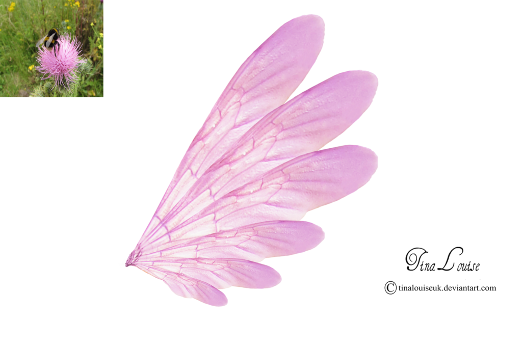 Pink Transparent Fairy Wings by TinaLouiseUk on