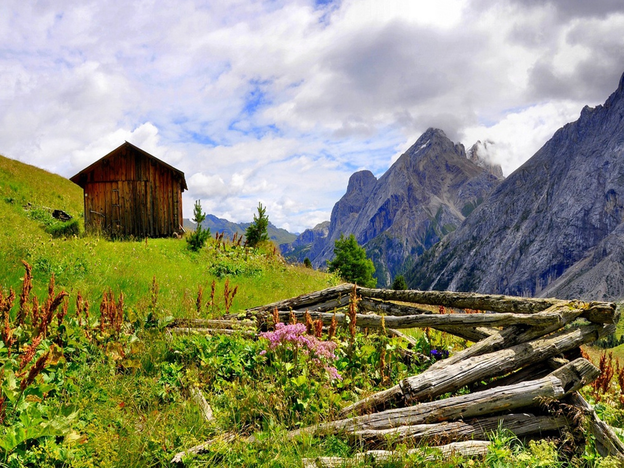 Free download Gold Damask Lovely View Beautiful Beauty Canada Clouds