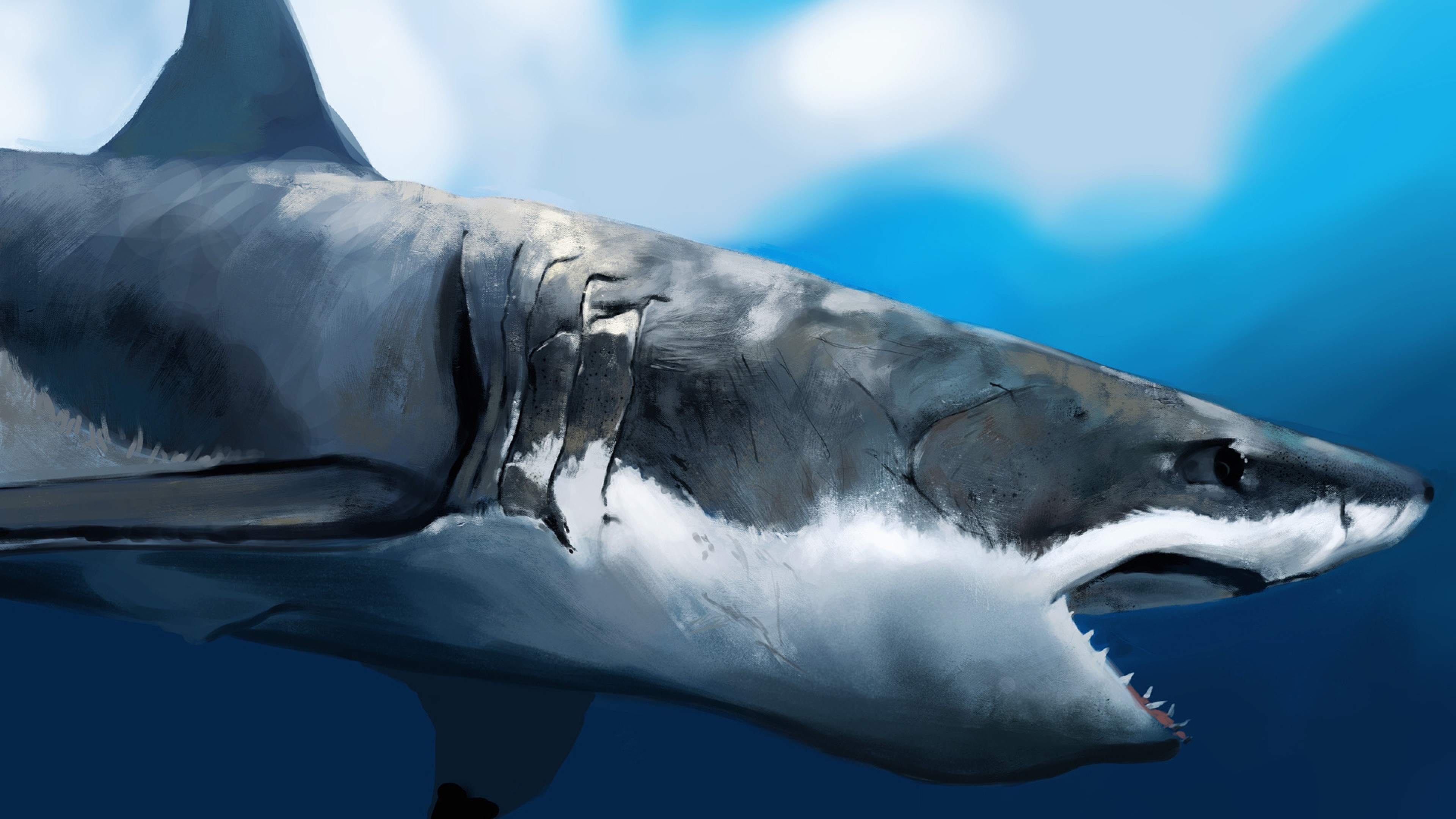 Desktop Shark HD Wallpaper