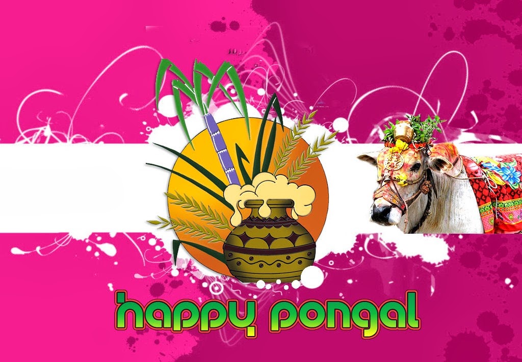 Tamil Pongal Greetings HD Wallpaper Pictures