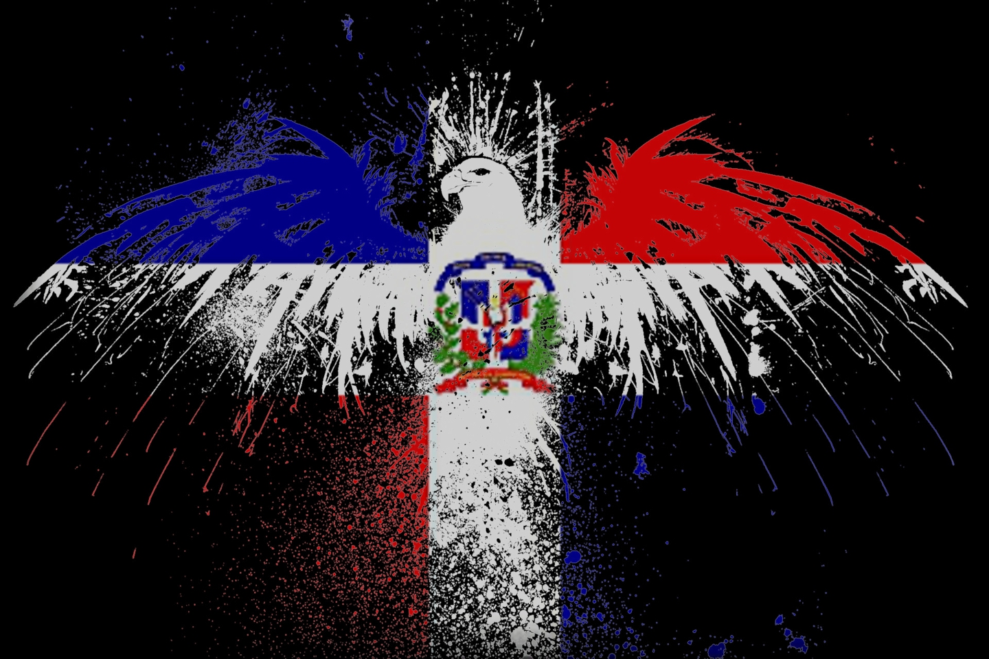 Dominican Republic Flag HD Wallpaper Color Palette Tags