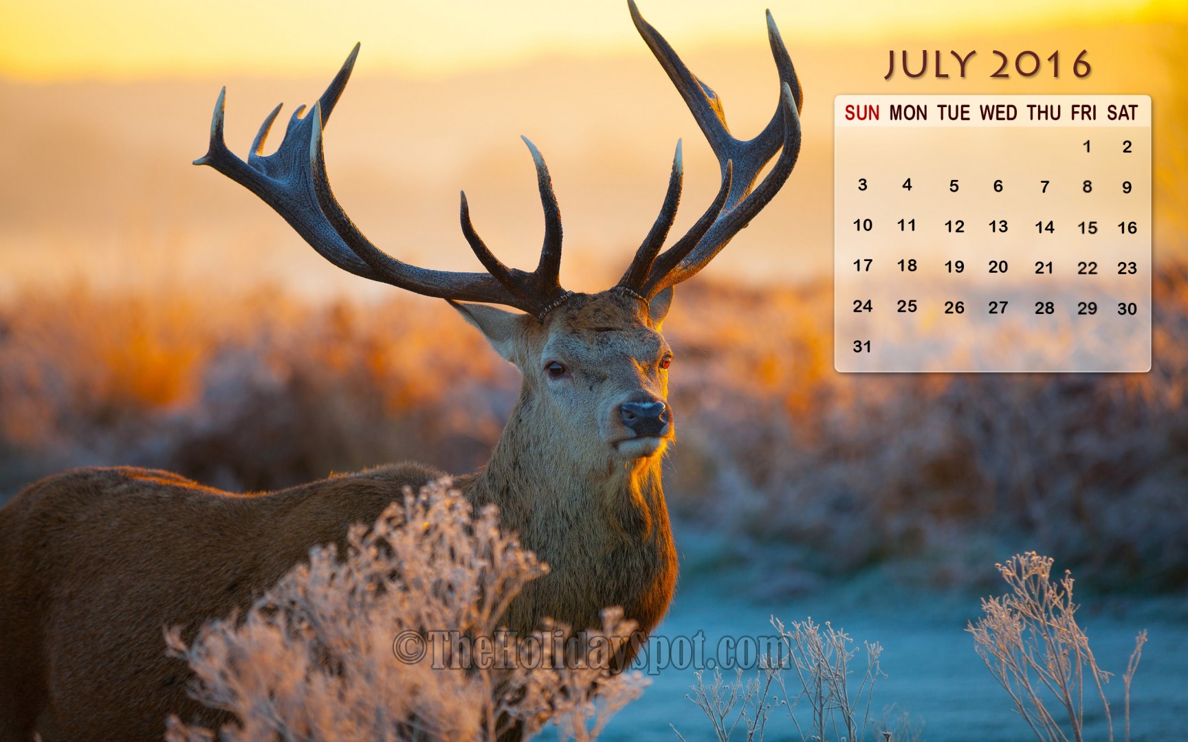 July Calendar Wallpaper 2016