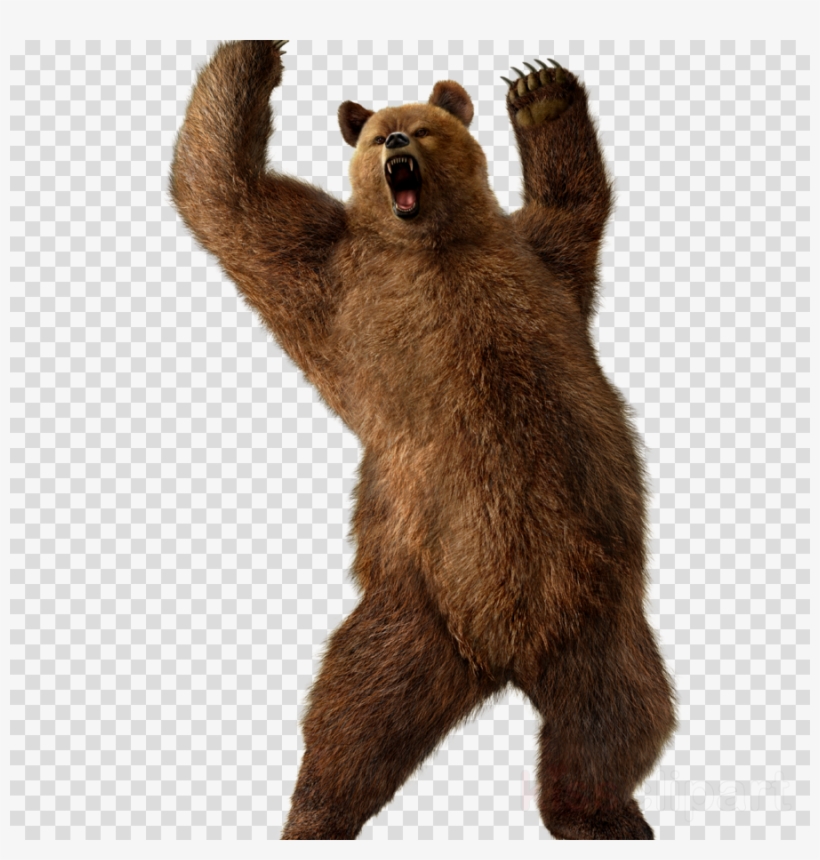 Grizzly Bear Transparent Png Clipart Red Ball