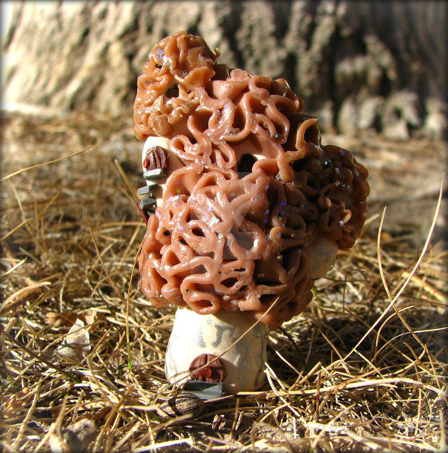 Morel Mushroom Castle by AliatheGhoul 889x898