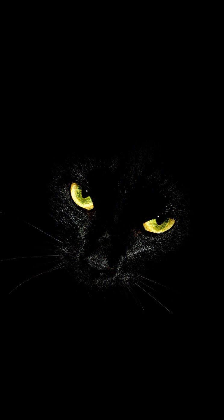 Black Cat Glowing Eyes iPhone Wallpaper Background Purrfect