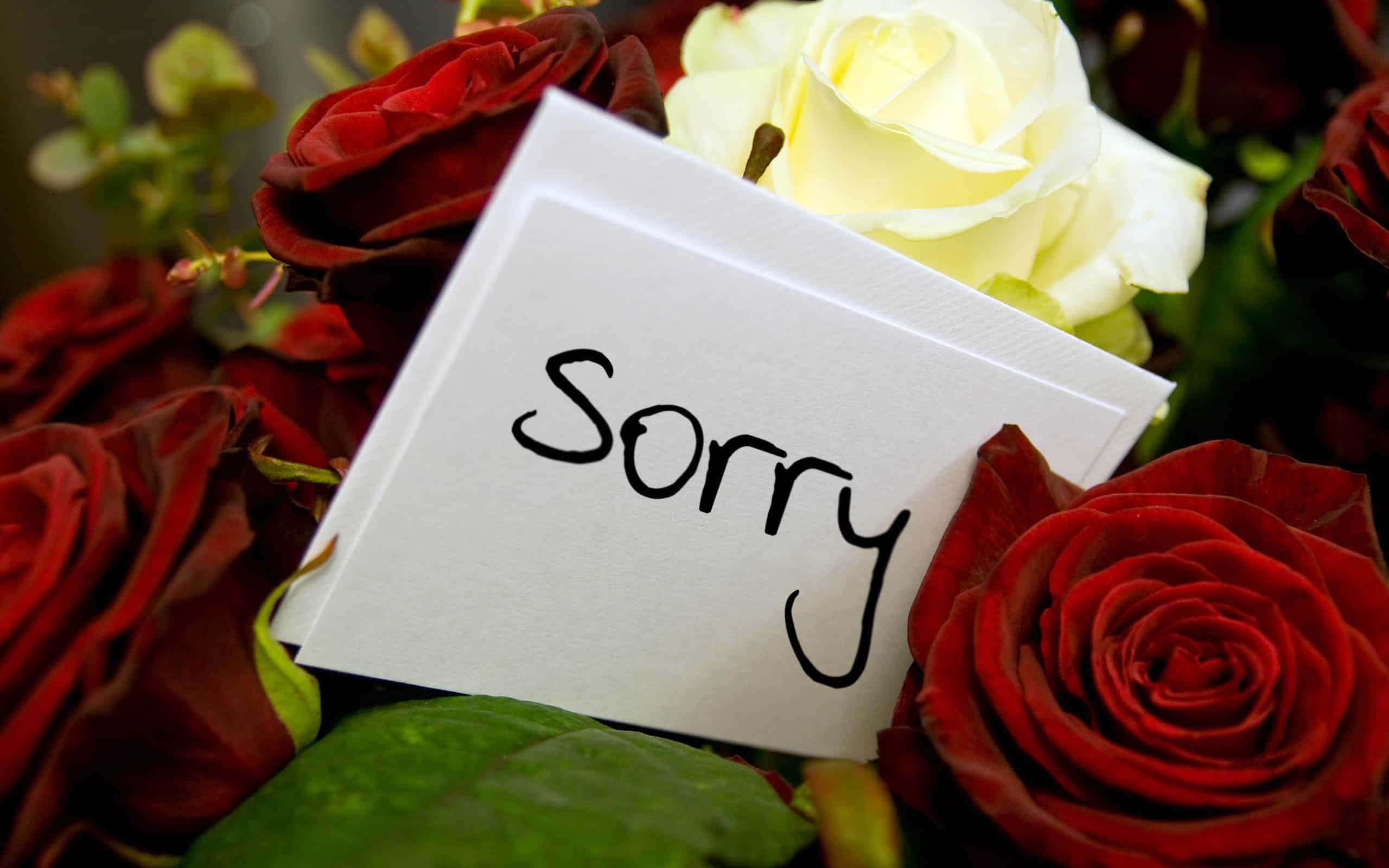Cute Apology Messages To A Lover With Sorry Image Ilove