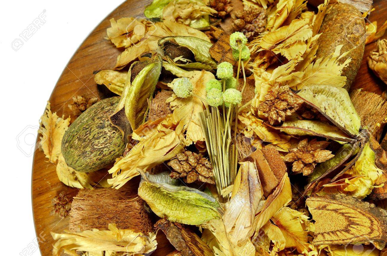 🔥 [41+] Potpourri Background | WallpaperSafari