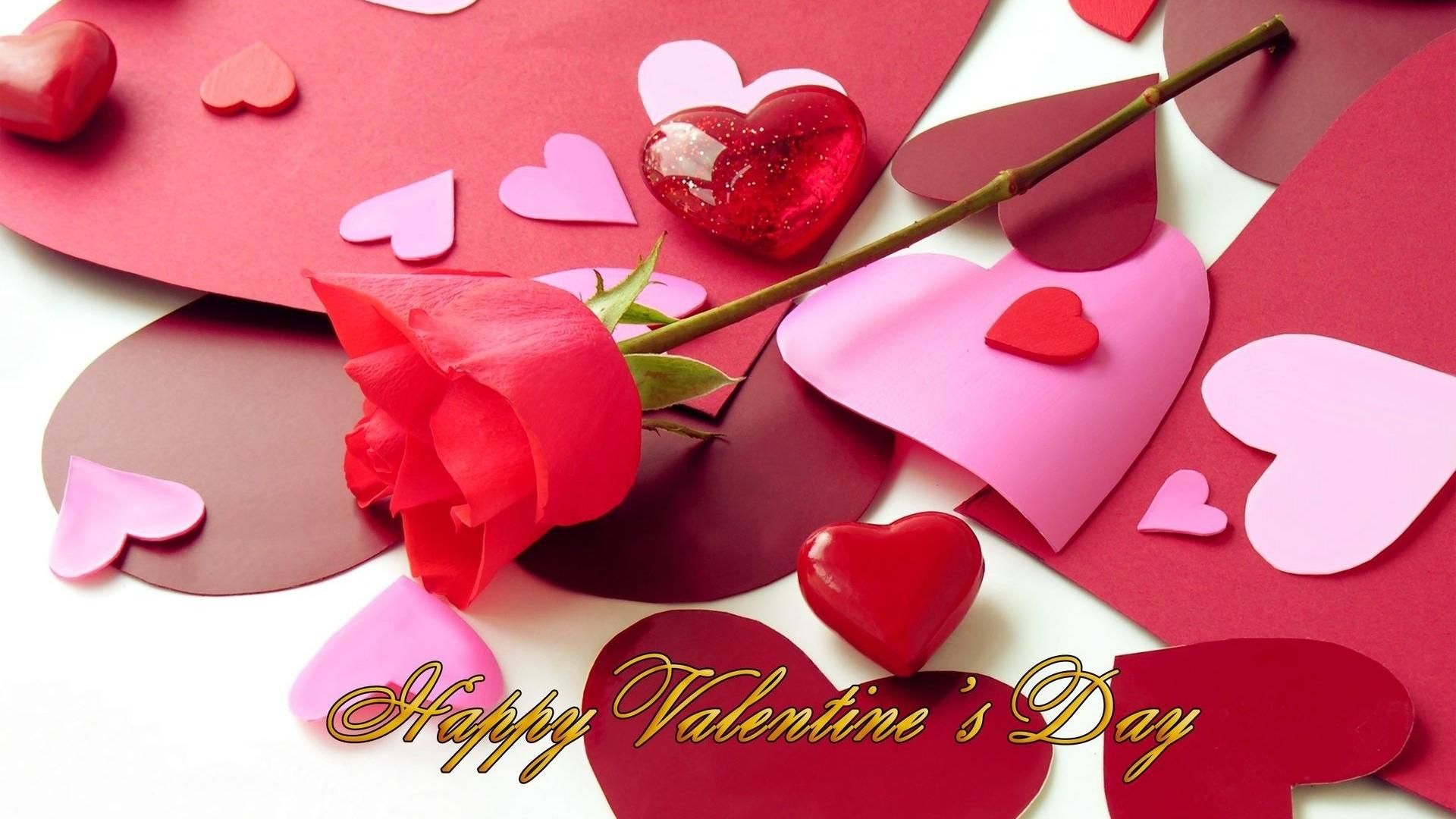 Valentine S Day Image Happy Valentines Flower HD Wallpaper