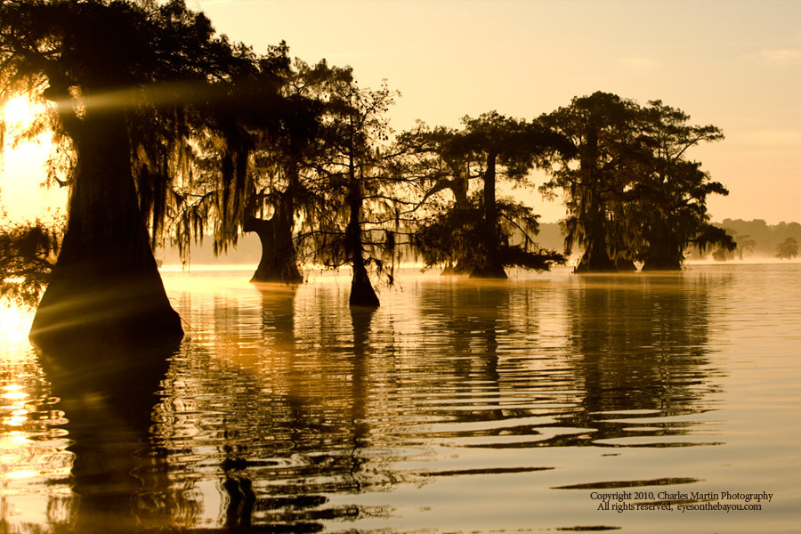 Louisiana Landscape Photography