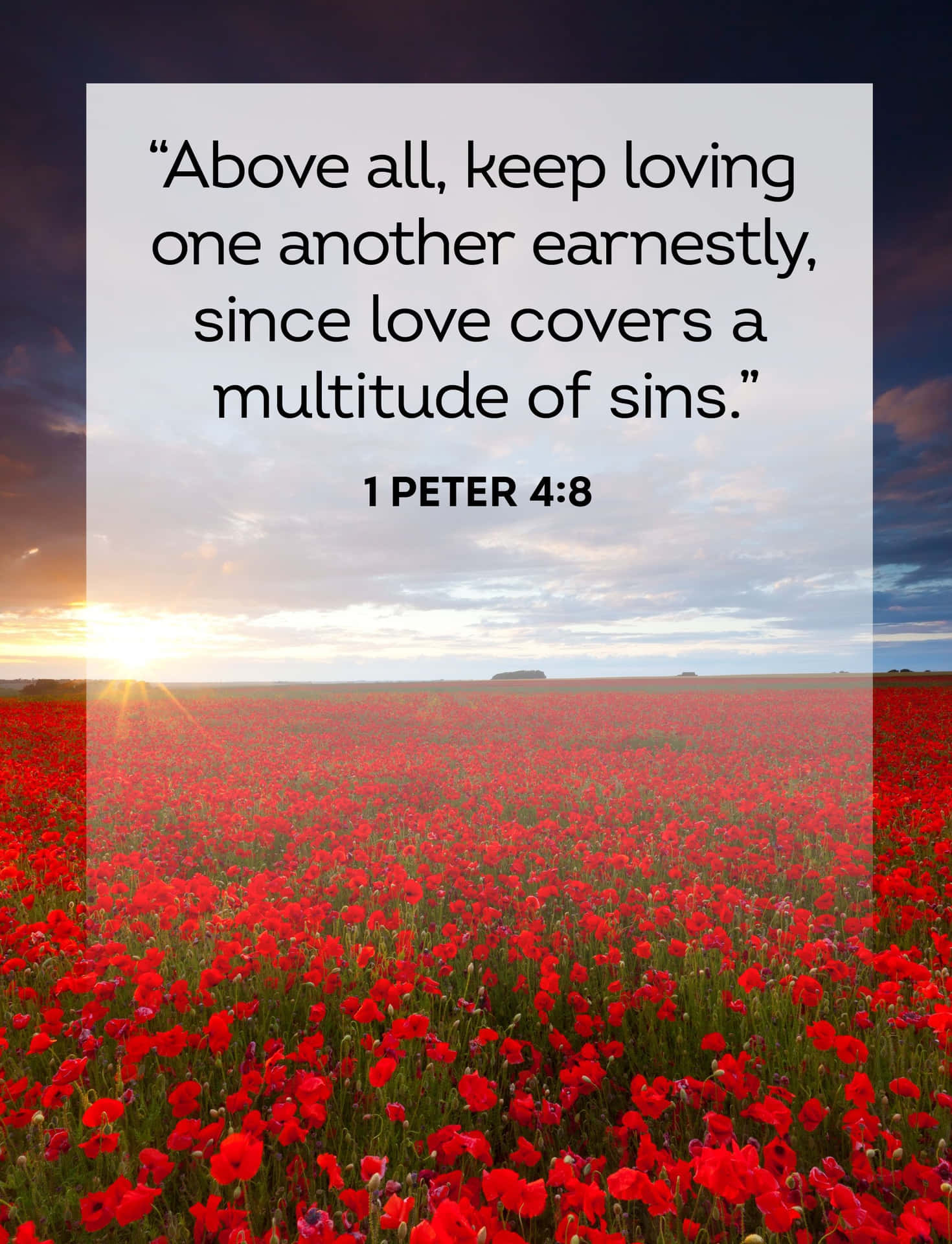 Aesthetic Bible Verse Picture Wallpaper