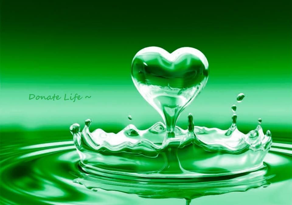 Donate Life My Angel Did Heart Wallpaper Love Quotes