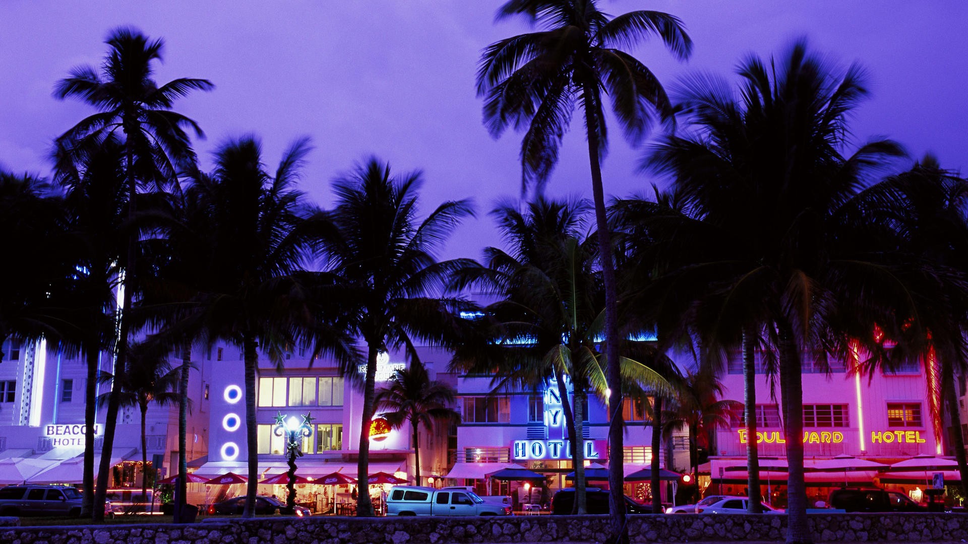 Cars Miami Wallpaper Street Lights Palm