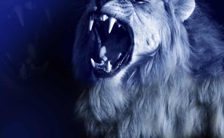 Lion Roar Wallpaper Background HD Site