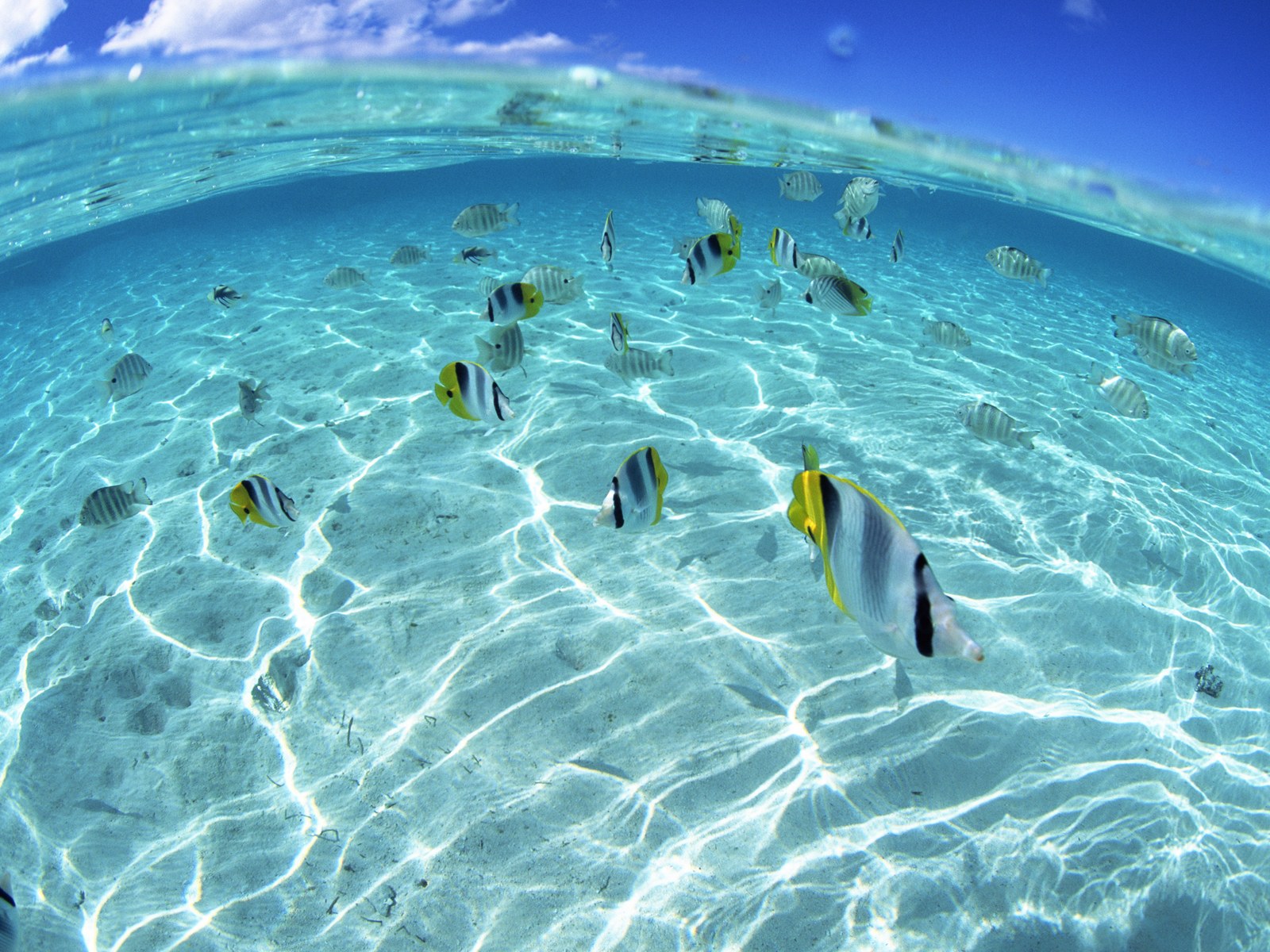 Hawaii S Aquamarine Sea And Blue Sky No Desktop Wallpaper