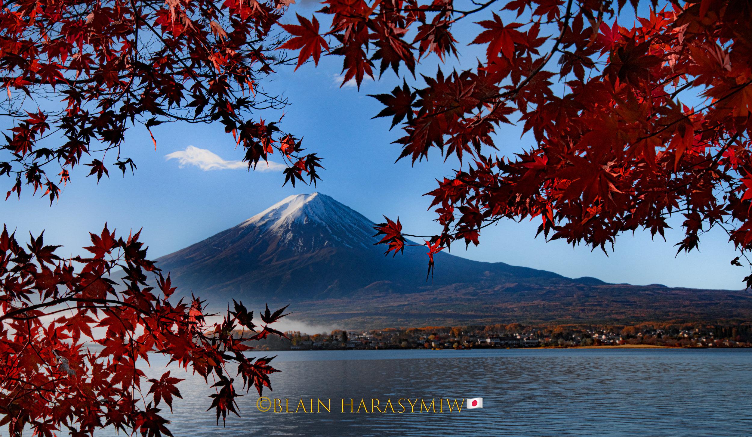 Oct Essence Of Autumn Japan Photo Tour Blain Harasymiw