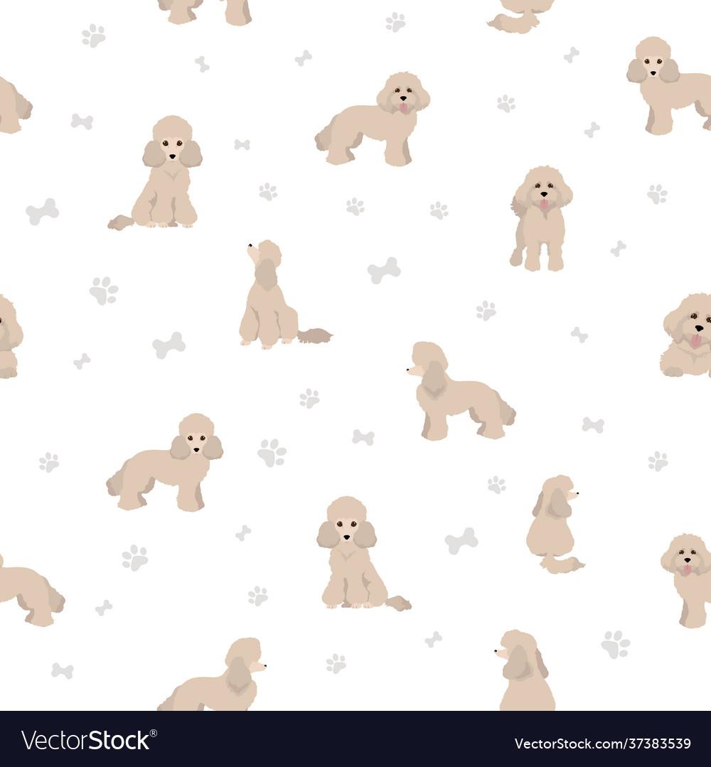 Toy Poodle Seamless Pattern Royalty Vector Image