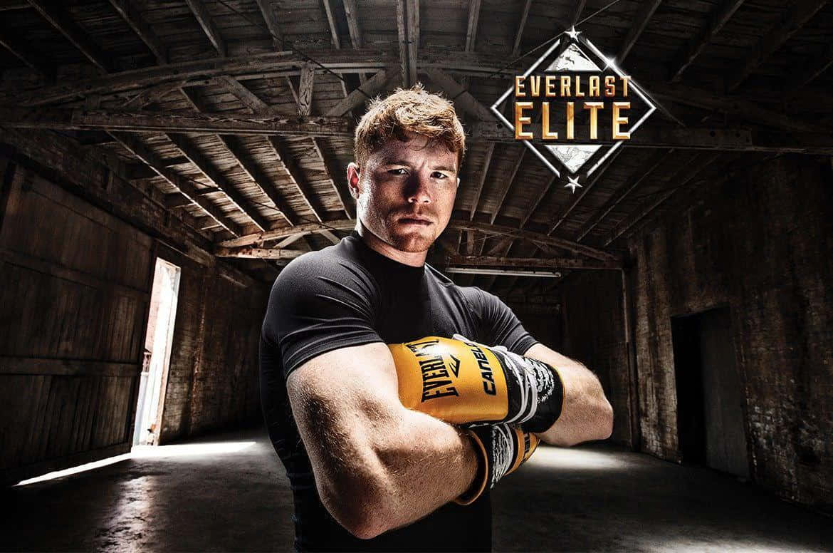 Saul Canelo Alvarez Wallpaper