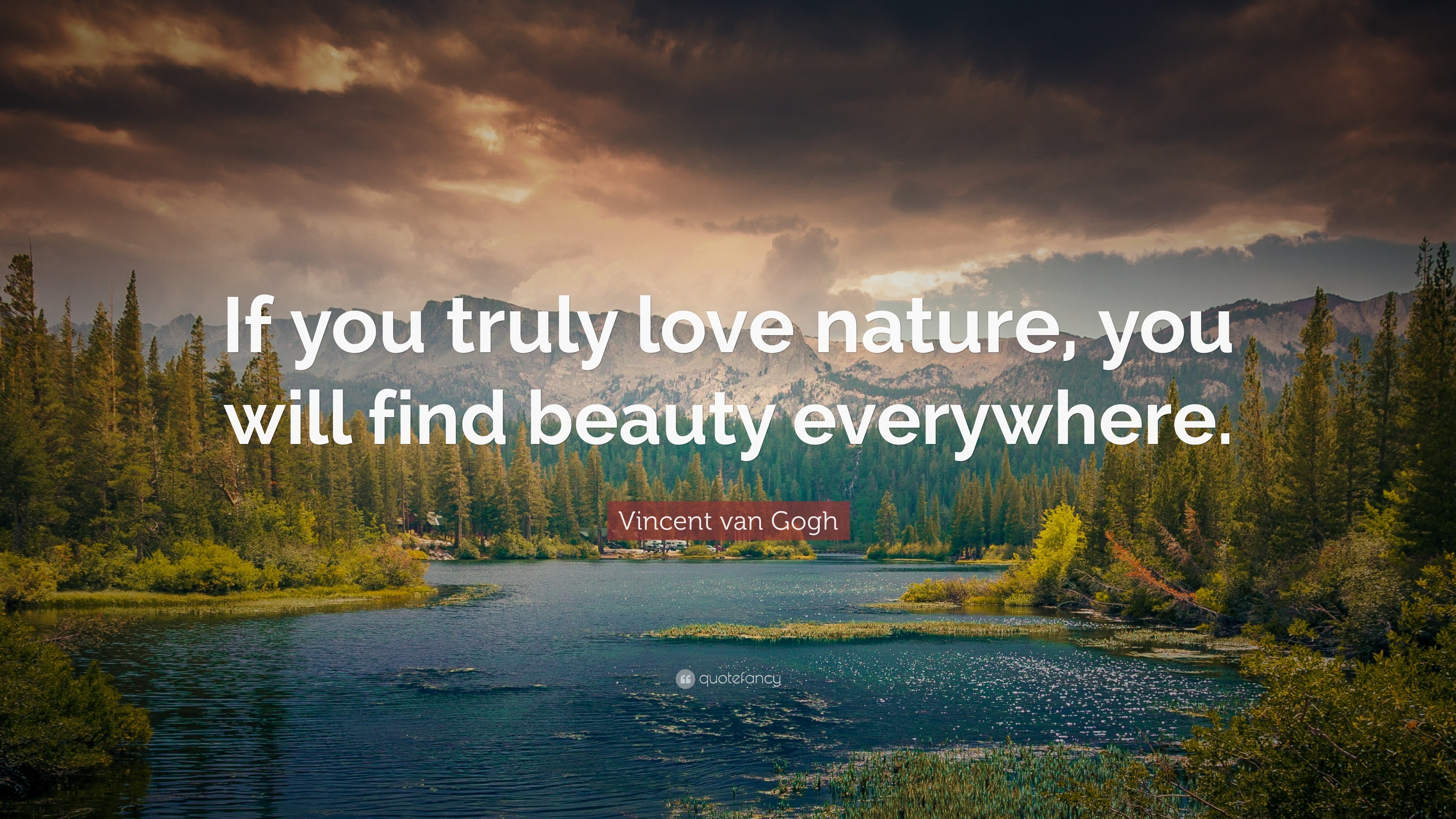Love Nature Wallpaper