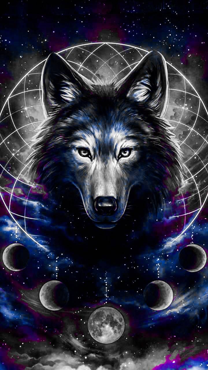 Galaxy Wolf Wallpaper For Chromebook