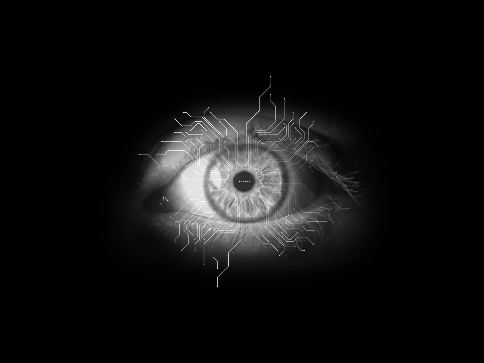 Black Eyes Wallpaper