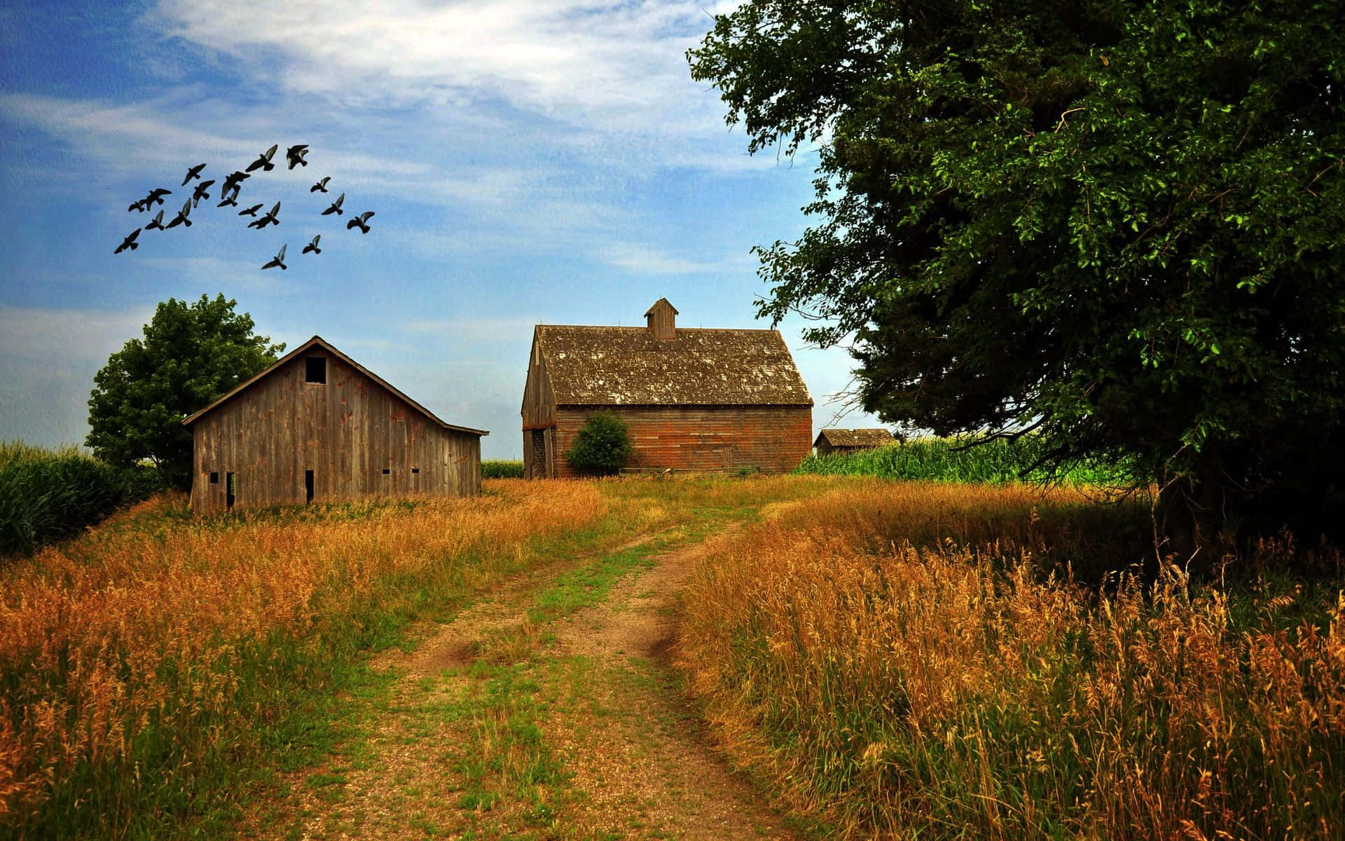 Farmhouse Desktop Wallpaper