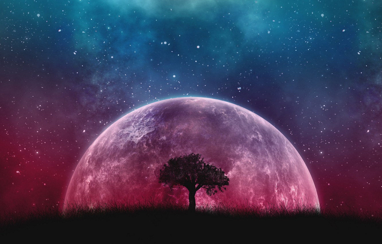 Wallpaper Fantasy Tree Pla Stars Sky Image For Desktop