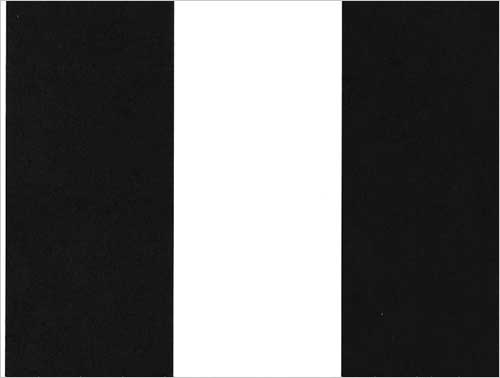 Thick Stripe Wallpaper Black White Striped
