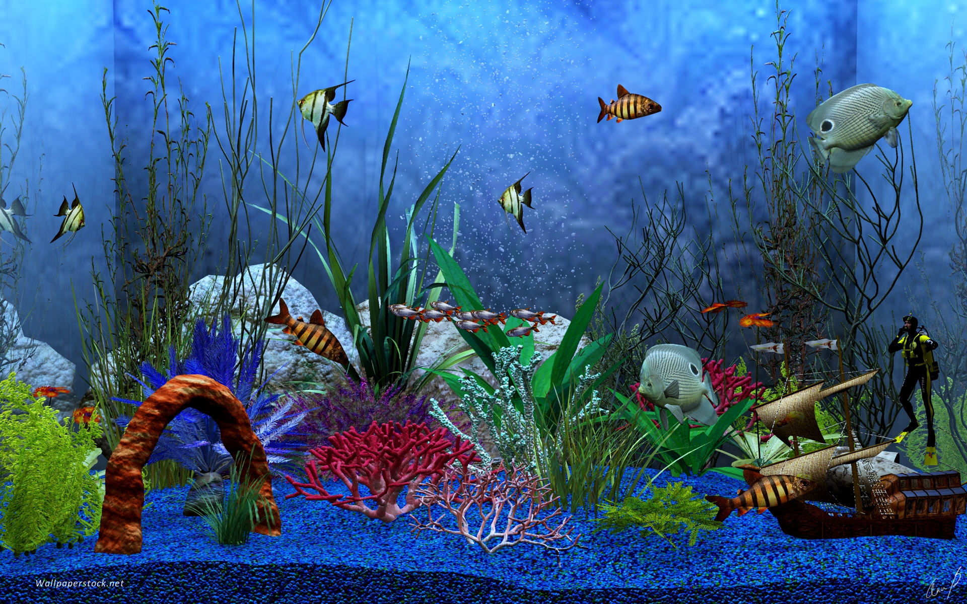 Biến màn hình của bạn thành một bể cá hoàn hảo với hình nền 3D bể cá. Hãy nhấn vào hình ảnh để bạn được ngập tràn trong không gian thực tế được tạo ra từ các loài cá xinh đẹp và đầy màu sắc.