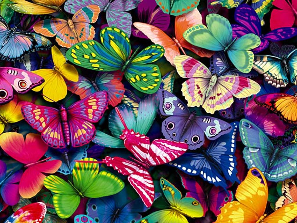 butterfly this free best website desktop wallpaper download butterfly