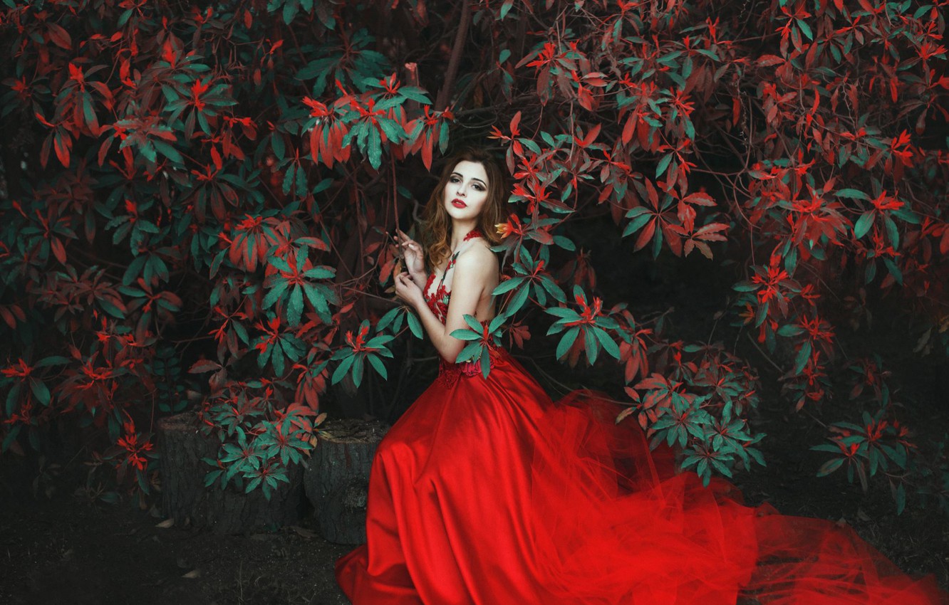 Wallpaper Girl Tree Mood Red Dress Tahira Garcia Image For