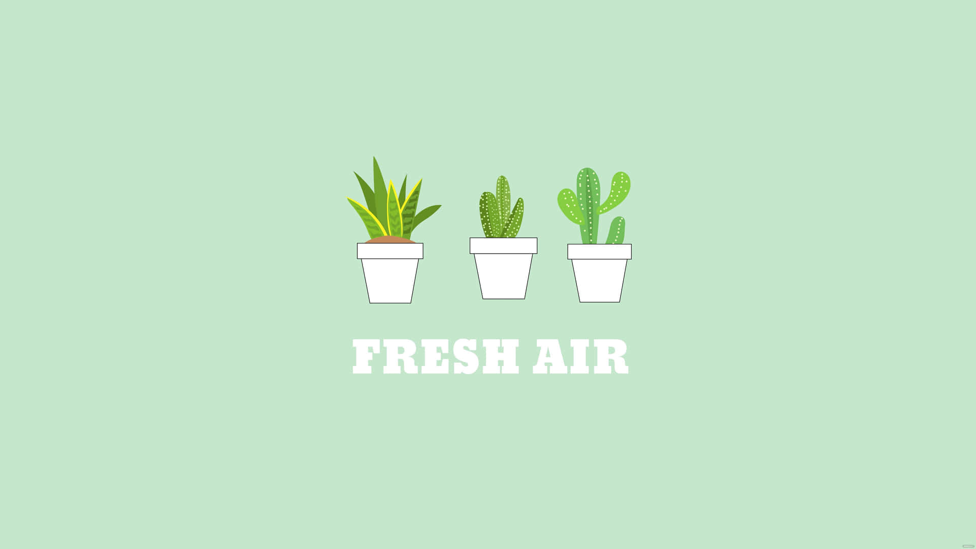 This Adorable Mint Green Aesthetic Is Sure To Brighten Any Day Wallpaper