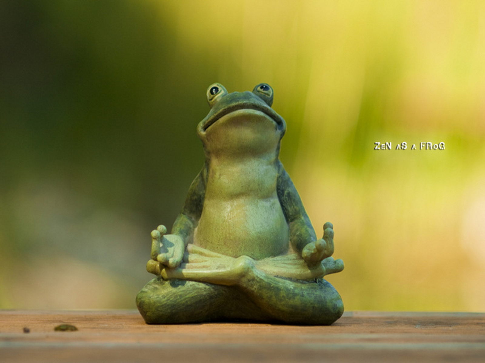 Wallpaper Wednesday Zen As A Frog Zenplicity