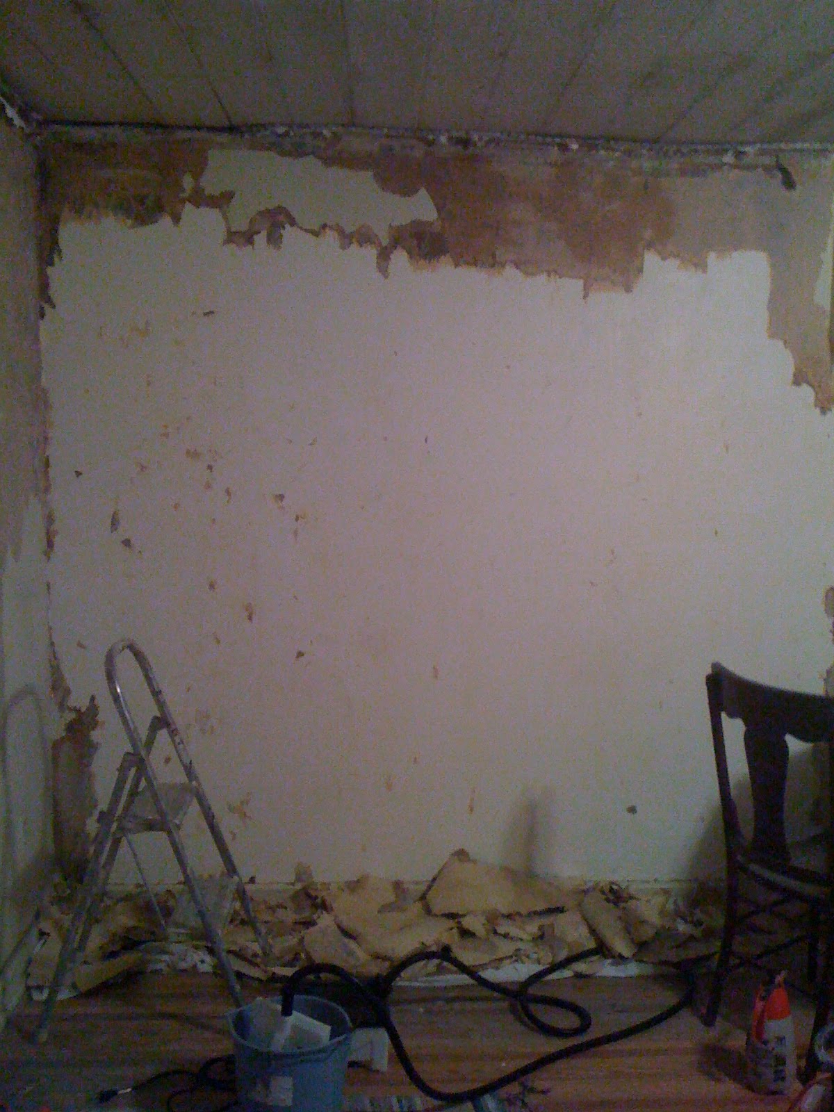 50 Rent Wallpaper Steamer Lowe S On Wallpapersafari We've gathered more than 5 million images uploaded by our users and sorted them by the most popular ones. 50 rent wallpaper steamer lowe s on