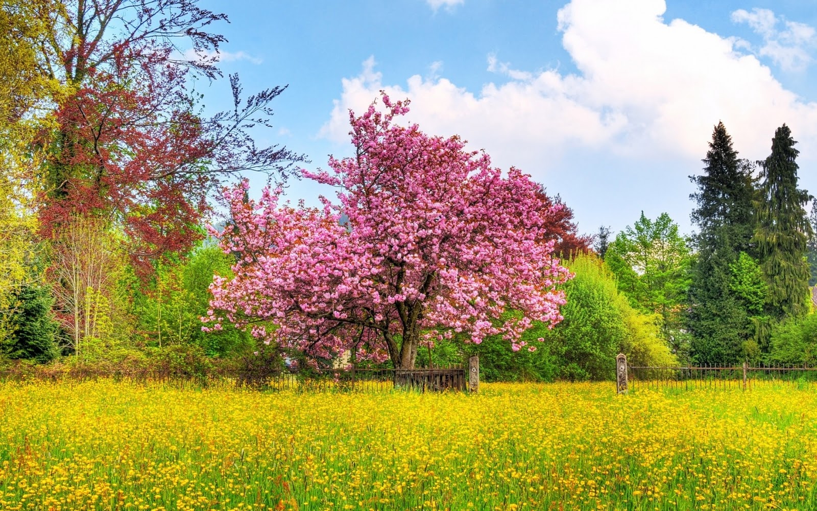 Spring Wallpapers Cute Spring Wallpaper