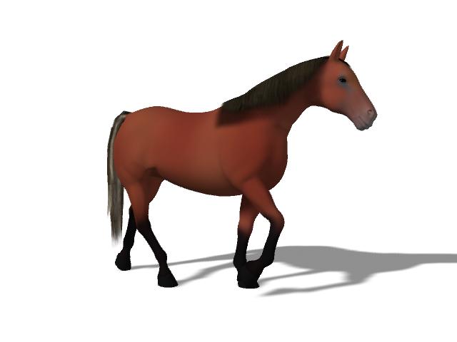48+] Animated Horse Wallpaper - WallpaperSafari