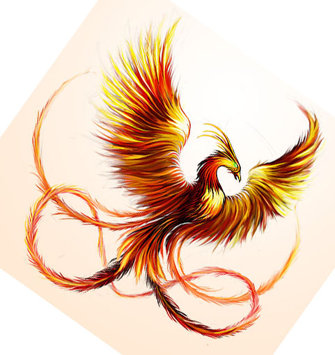 Phoenix Bird Wallpaper Lilzeu Tattoo De