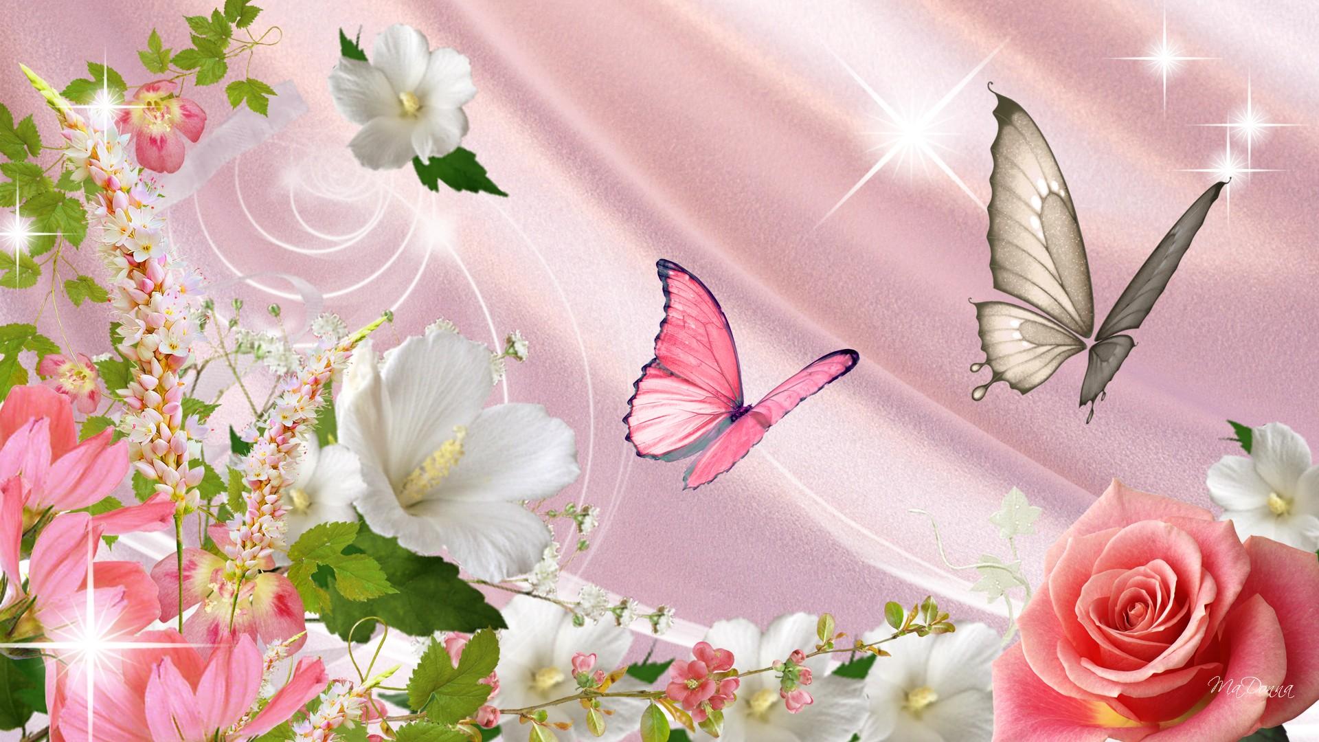 Funmozar Spring Flowers And Butterflies Wallpaper