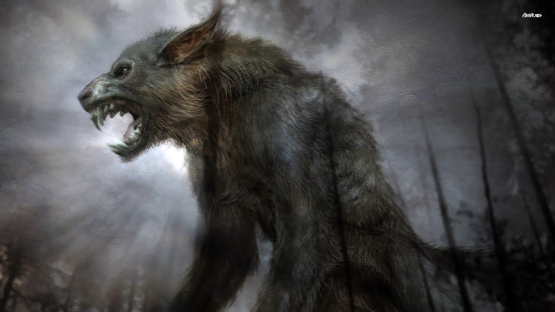 Werewolf Wallpaper HD