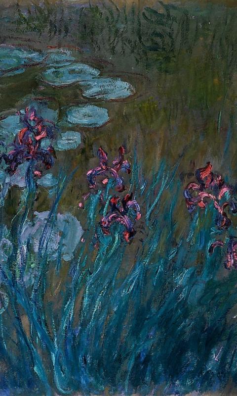 Lily Pads Giverny Claude Mo Irises Impressionism Wallpaper