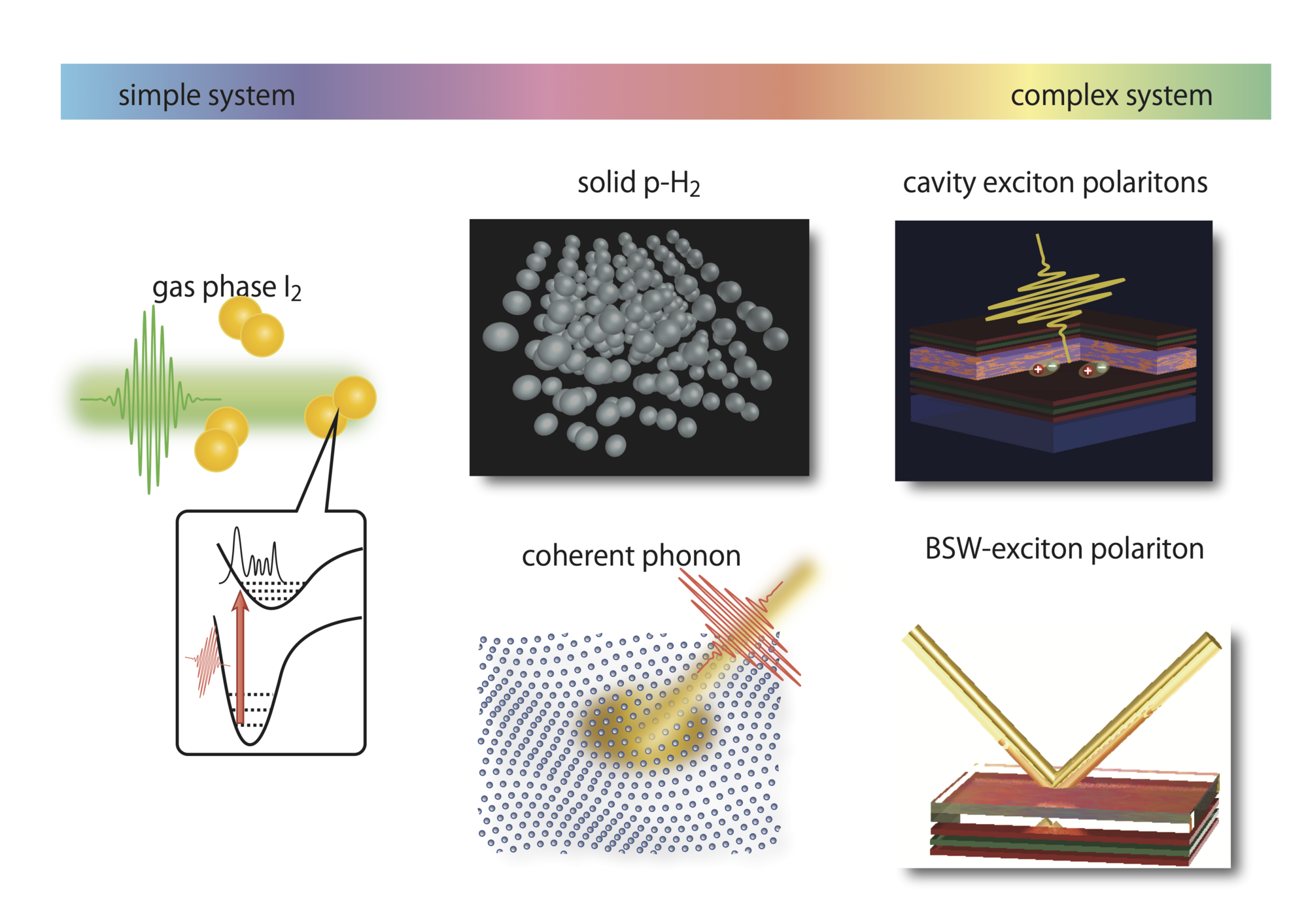 Introduction For Coherent Control Wallpaper